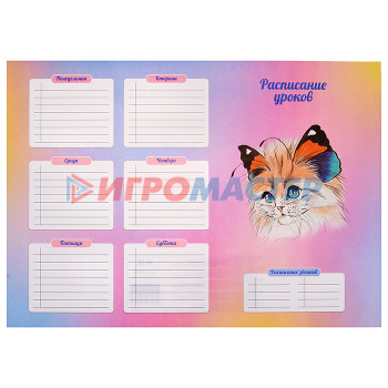 Расписание уроков Расписание уроков А3, Кошка-бабочка №3 (выборочн. УФ-лак, полноцв. печать, мелован. карто
