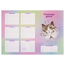 Расписание уроков А3, Кошка-бабочка №1 (выборочн. УФ-лак, полноцв. печать, мелован. карто