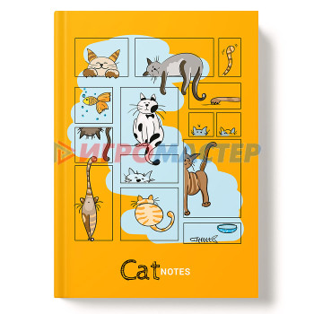 Анкеты, записные книжки, блокнотики и дневники для девочек Книжка записная 64л., &quot;Жизнь кота&quot; А5 