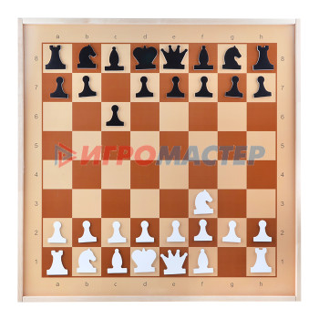Шахматы, нарды, шашки Демонстрационные шахматы магнитные