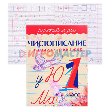 Раскраски, аппликации, прописи Тетрадь-тренажер.Русский язык 1 класс Чистописание.
