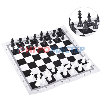 Шахматы, нарды, шашки Шахматы классические в пакете + поле 28,5х28,5см.