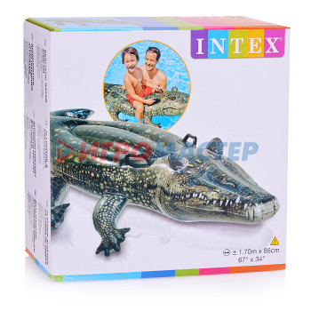 Надувные игрушки для плавания Игрушка для плавания «Аллигатор», 170 х 86 см, от 3 лет, 57551NP INTEX