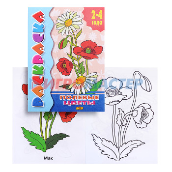 Раскраски, аппликации, прописи Раскраска 2-4 года. Полевые цветы