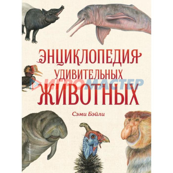 Энциклопедия удивительных животных. Сэми Бэйли
