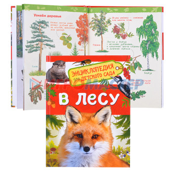 Энциклопедии В лесу (Энциклопедия для детского сада)