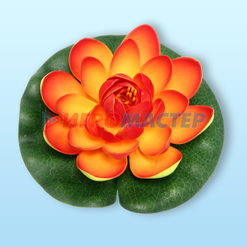 Растение водоплавающее "Кувшинка Розитта" d-15см оранжевая