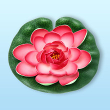 Растение водоплавающее "Кувшинка Розитта" d-15см розовая