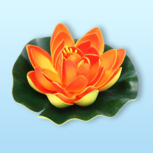Растение водоплавающее "Кувшинка Розитта" d-13см оранжевая
