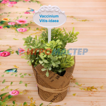 Табличка садовая для маркировки растений 15*7см "Облако" из пластика 10шт в пакете ДоброСад