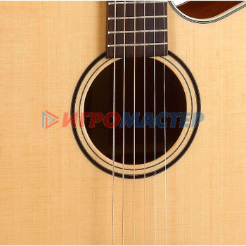 Акустическая гитара Parkwood S21-GT, цвет натурального дерева, глянец + чехол