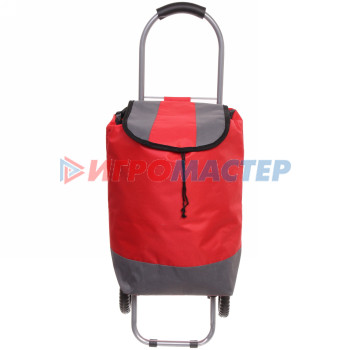 Тележка хозяйственная с сумкой (86*32*28см, колеса 14см,грузоподъемность до 15 кг) красная ST-821
