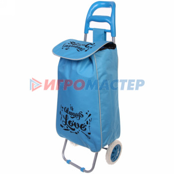 Тележка хозяйственная с сумкой (95*30*34см, колеса 16см,грузоподъемность до 30 кг) BF6007 синяя