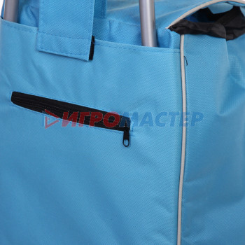 Тележка хозяйственная с сумкой (95*30*34см, колеса 16см,грузоподъемность до 30 кг) BF6007 синяя