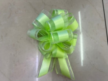 Бант для оформления подарка "Чудо" 5 см, d=15 см, Зелёный