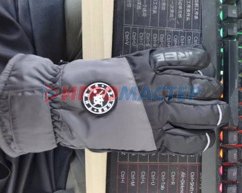 Перчатки для зимних видов спорта TS-1023, серый (размер L)