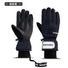 Перчатки для зимних видов спорта TS-2023 Black Night (размер L)