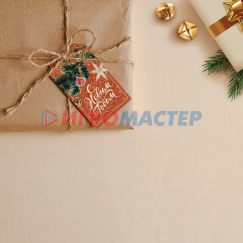 Шильдик на подарок «С Новым Годом», 4,7 × 8  см