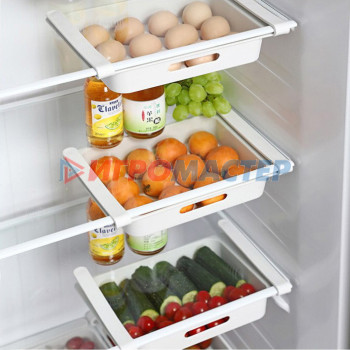 Полка пластиковая в холодильник для яиц 25*17*4,5см