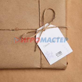 Шильдик на подарок «Самой невероятной», акварельный картон 5 × 7 см