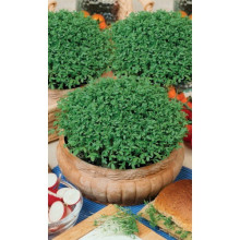 Семена Кресс-салат Престиж (УД) 0,8гр Е/П