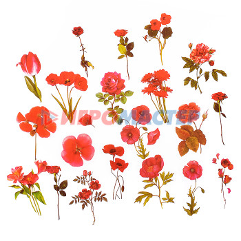 Наклейки, переводки, тату Набор наклеек для творчества &quot;Red flowers&quot; от 2x6 см до 5x6 см, ПВХ, в пластиковом пакете с