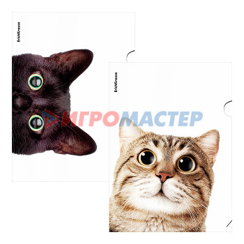 Папки-уголки пластиковые Папка-уголок пластиковая Hiding Cats, A4, ассорти 4 дизайна