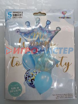 Надувные шары Набор шаров 5 шт "Prince", голубой