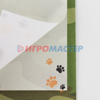 Блок бумаги 30 листов в конверте «С днем защитника отечества»