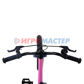Велосипед 14'' Maxiscoo JAZZ Стандарт Плюс, цвет Розовый Матовый