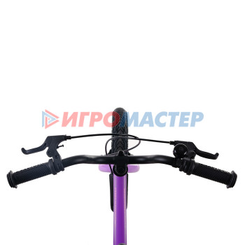 Велосипед 16'' Maxiscoo JAZZ Стандарт Плюс, цвет Фиолетовый Матовый