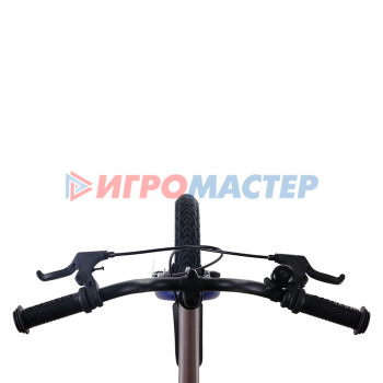 Велосипед 16'' Maxiscoo JAZZ Стандарт Плюс, цвет Серый Жемчуг