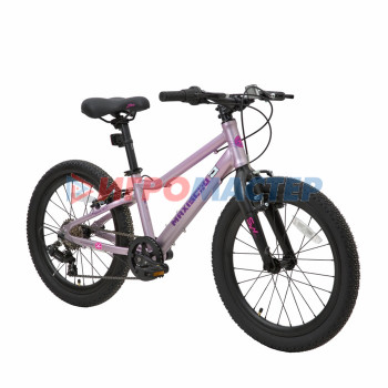 Велосипед 20'' Maxiscoo 5BIKE, цвет Розовый Сапфир, размер L