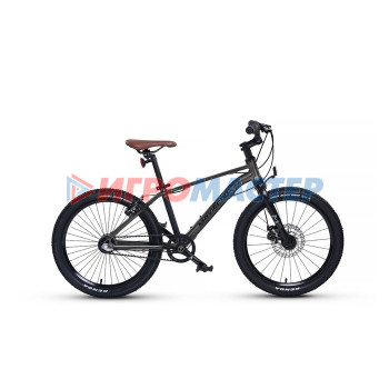 Велосипед 20'' Maxiscoo 7BIKE M700, цвет Графит
