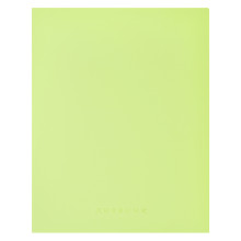 Дневник &quot;Light green soft touch&quot; универсальный блок, 48 листов, кремовая бумага 80 г/м², пе