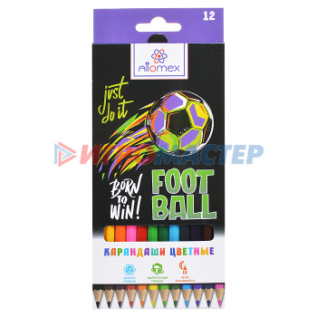 Карандаши цветные Карандаши цветные &quot;Attomex. Football&quot; 12 цветов, М, диаметр грифеля 2,65 мм, шестигранные, в картонн