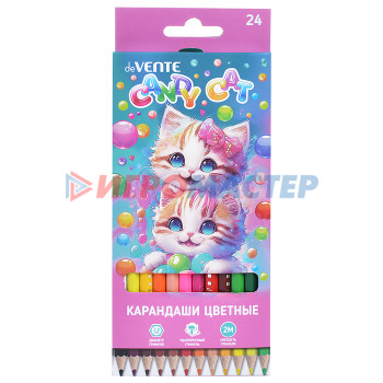 Карандаши цветные Карандаши цветные &quot;Candy Cat&quot; 24 цвета, 2М, диаметр грифеля 2,8 мм, шестигранные, в картонн