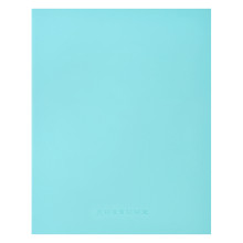 Дневник &quot;Minty soft touch&quot; универсальный блок, 48 листов, кремовая бумага 80 г/м², печать в