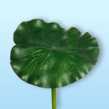 Растение водоплавающее "Лист лотоса" 17х90см