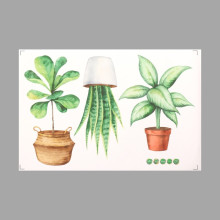 Наклейка пластик интерьерная цветная "Домашние растения" 40х60 см